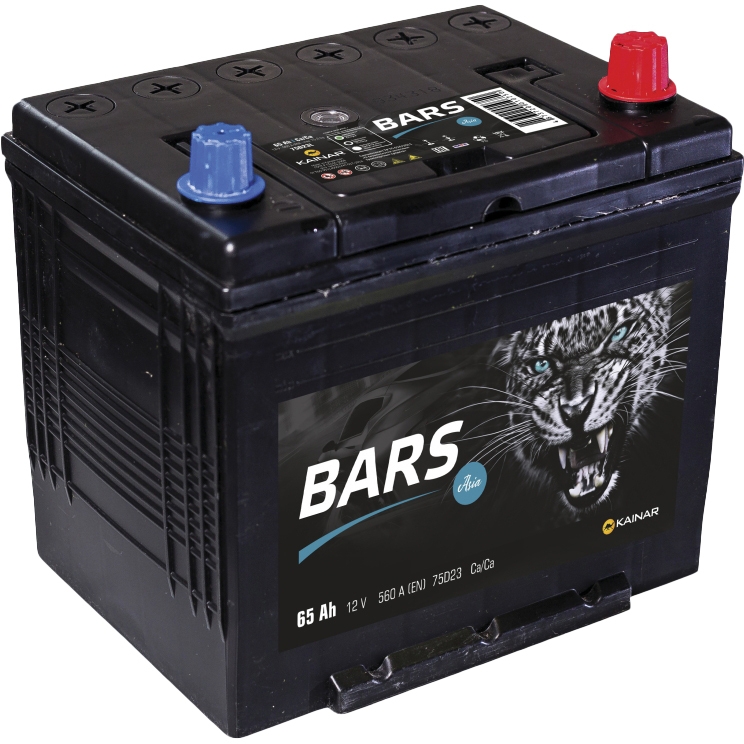 

Аккумулятор Bars 6 CT-65-R 062224001013107110LBA