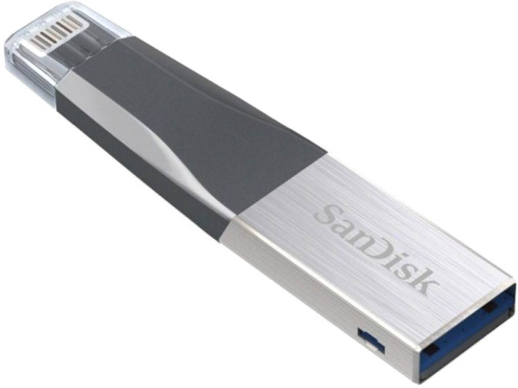 

Флешка SanDisk iXpand Mini 128 ГБ SDIX40N-128G-GN6NE