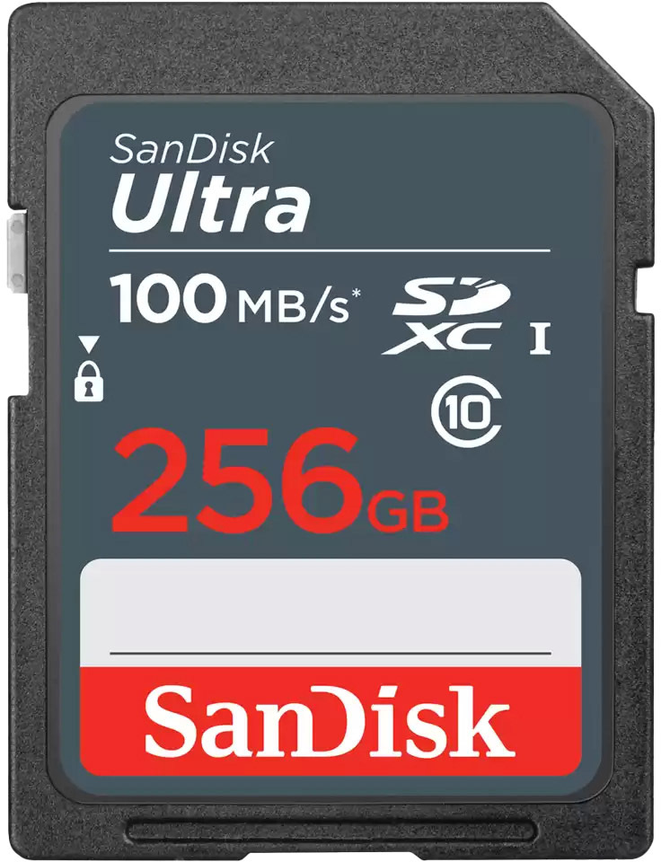 

Карта памяти SanDisk Ultra Light SDXC 256 ГБ SDSDUNR-256G-GN3IN