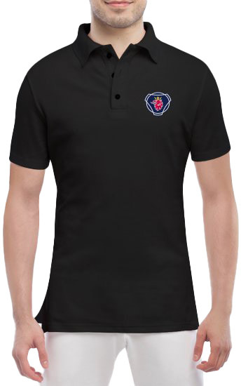 

Футболка мужская Globuspioner поло Scania Big Logo v2 черный спереди 420635325