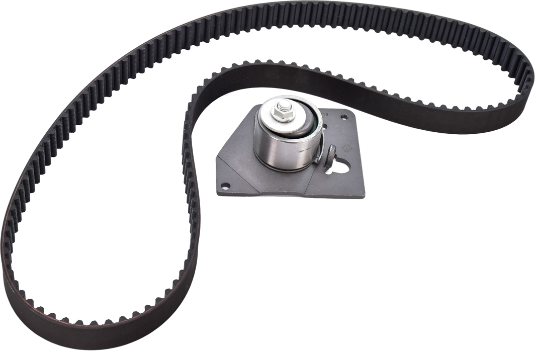 

Sasic 1754002 Комплект ремня ГРМ