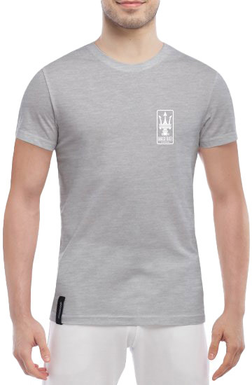 

Футболка мужская Globuspioner классическая Maserati Classiche Mini серый спереди 6741017282