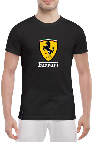 

Футболка мужская Globuspioner классическая Ferrari Scuderia Big Logo черный спереди 1661217257