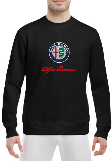 

Свитшот мужской Globuspioner Alfa Romeo Big Logo спереди класический рукав чёрный 665376324