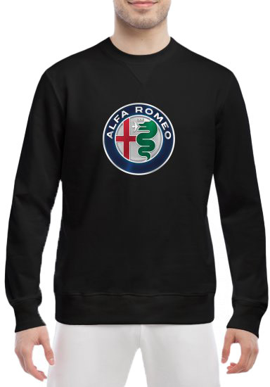 

Свитшот мужской Globuspioner Alfa Romeo Big Logo v2 спереди класический рукав чёрный 665366322
