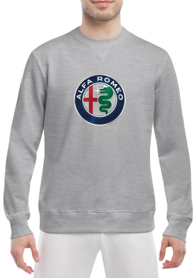 

Свитшот мужской Globuspioner Alfa Romeo Big Logo v2 спереди класический рукав серый 6653663281