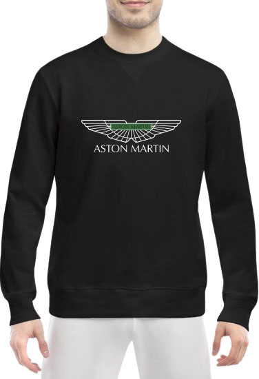 

Свитшот мужской Globuspioner Aston Martin Vector Logo Green спереди класический рукав чёрный 2285563257