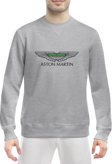 

Свитшот мужской Globuspioner Aston Martin Vector Logo Green спереди класический рукав серый 2285563282