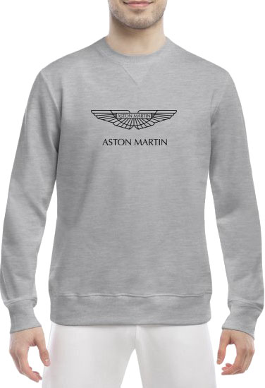 

Свитшот мужской Globuspioner Aston Martin Vector Logo спереди класический рукав серый 6690563285