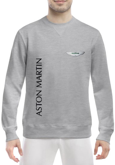 

Свитшот мужской Globuspioner Aston Martin Vertical Logo спереди класический рукав серый 6690763282