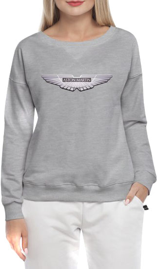 

Свитшот женский Globuspioner Aston Martin Silver Wings v2 спереди спущенный рукав серый 7721464286