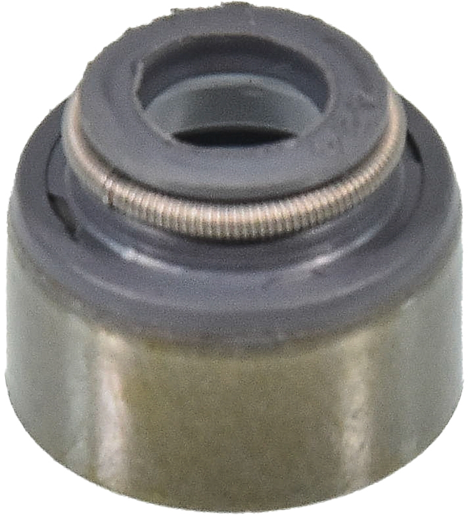 

Reinz 125279901 Комплект сальников клапанов