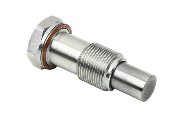 

Borsehung b1t014 Натяжитель цепи