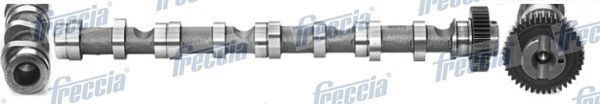 

Freccia CM052195 Распредвал
