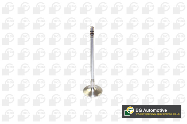 

BGA V166200 Впускной клапан