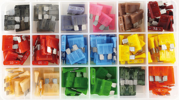 

Набор предохранителей Tesla fctmultibox FC FT 1A 2A 3A 5A 7,5A 8A 10A 15A 16A 20A 25A 30A 40A 4A 35A 215 шт.