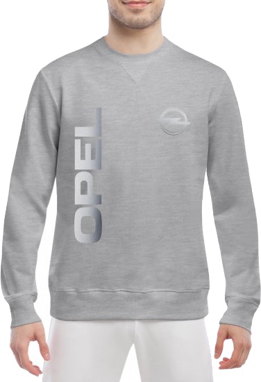 

Свитшот мужской Globuspioner Opel Vertical Logo спереди класический рукав серый 6669763285