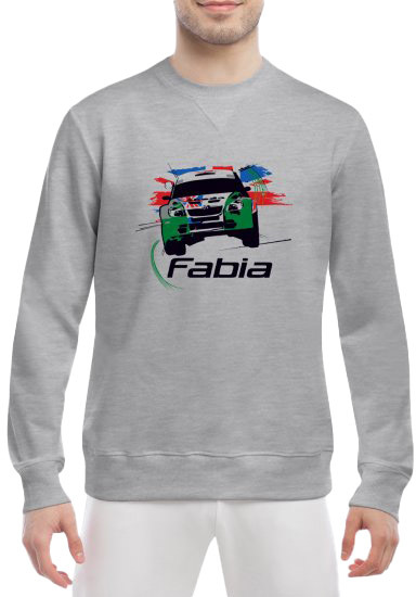 

Свитшот мужской Globuspioner Skoda Fabia Rally спереди класический рукав серый 2391863285