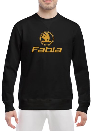 

Свитшот мужской Globuspioner Skoda Fabia Logo спереди класический рукав чёрный 239176321
