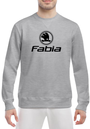 

Свитшот мужской Globuspioner Skoda Fabia Logo спереди класический рукав серый 2391763285