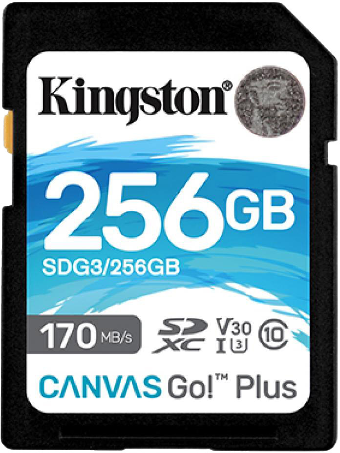 

Карта памяти Kingston Canvas Go! Plus SDXC 256 ГБ SDG3/256GB