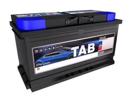 

Аккумулятор TAB 6 CT-100-R Polar S 246000