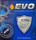 Моторное масло EVO E5 10W-40 10 л на Peugeot 406