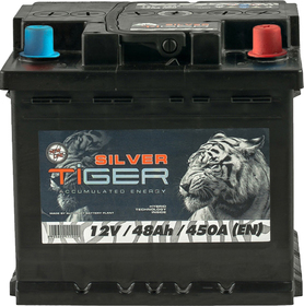 Аккумулятор Tiger 6 CT-48-R Silver AFS048S00