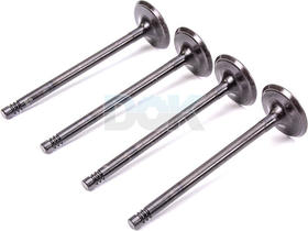 Впускной клапан AE V95013