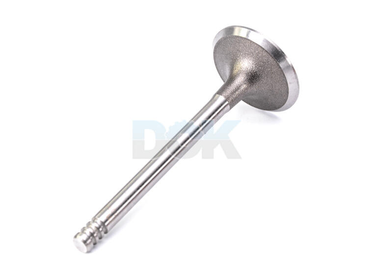 

Mahle 029VE30900000 Впускной клапан
