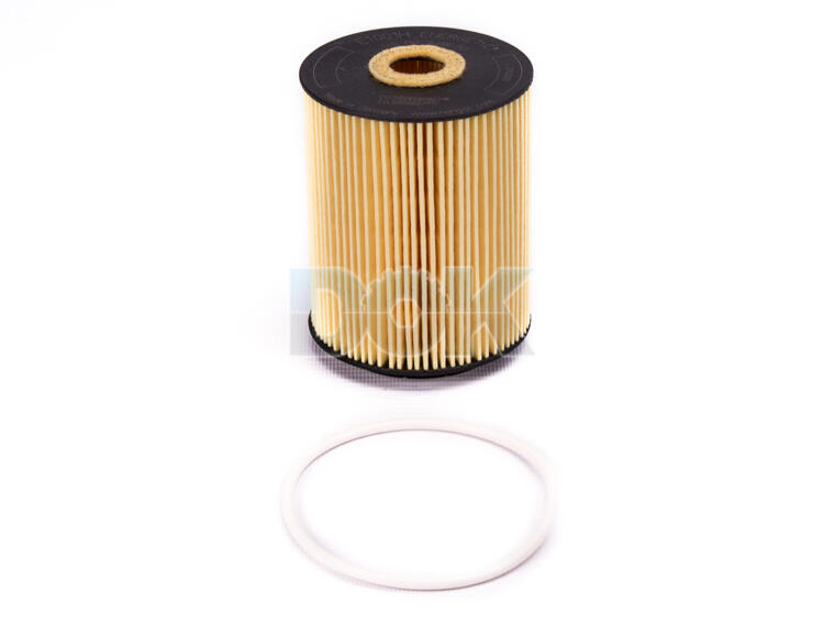 

Hengst Filter E1001HD28 Масляный фильтр