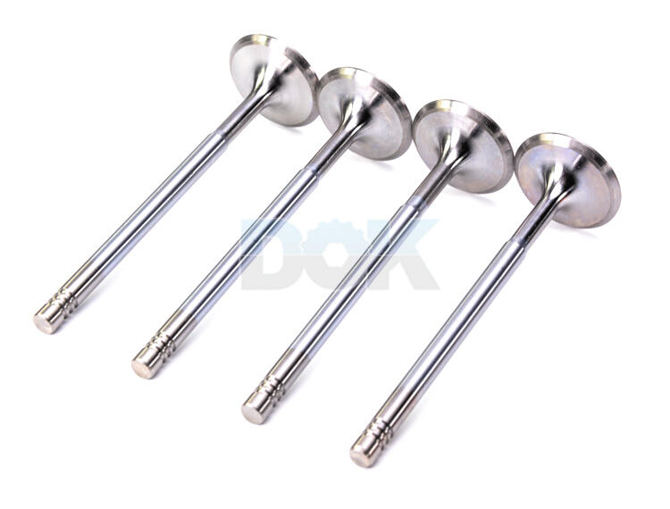 

Freccia R6413SCR Впускной клапан