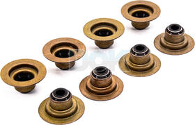 Комплект сальников клапанов Reinz 12-31056-01