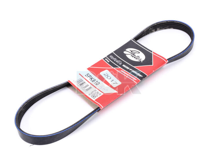 

Gates 5PK810 Поликлиновой ремень
