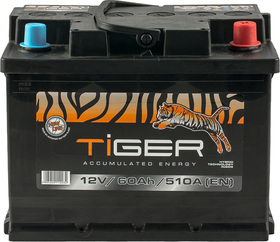 Акумулятор Tiger 6 CT-60-R AFS06000