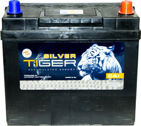 Аккумулятор Tiger 6 CT-100-R Silver AFS100SJ00