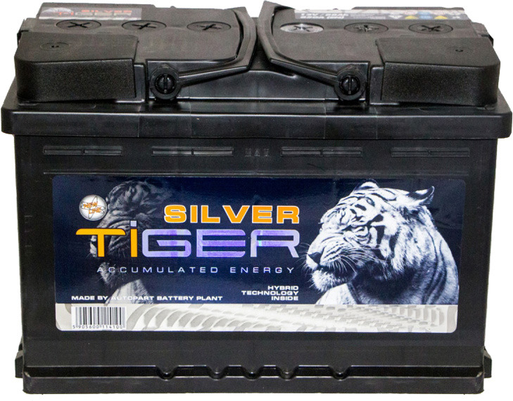 

Аккумулятор Tiger 6 CT-110-R Silver AFS110S00