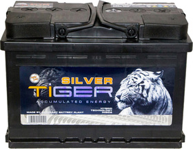 Аккумулятор Tiger 6 CT-110-R Silver AFS110S00