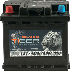 Аккумулятор Tiger 6 CT-48-L Silver AFS048S01