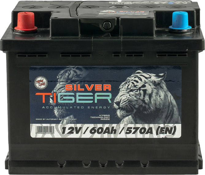 

Аккумулятор Tiger 6 CT-60-L Silver AFS060S01