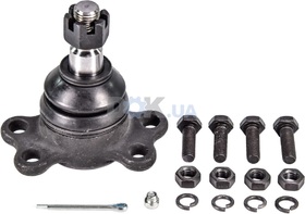 Головне фото