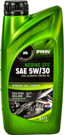 Моторна олива DYADE Nerine EFE 5W-30 1 л на Rover 75