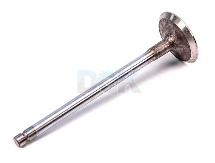 

Freccia R6096SCR Впускной клапан