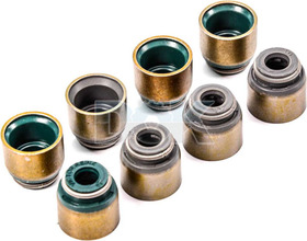 Комплект сальників клапанів Reinz 12-53908-01