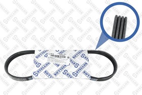 Поликлиновой ремень Stellox 0400665SX