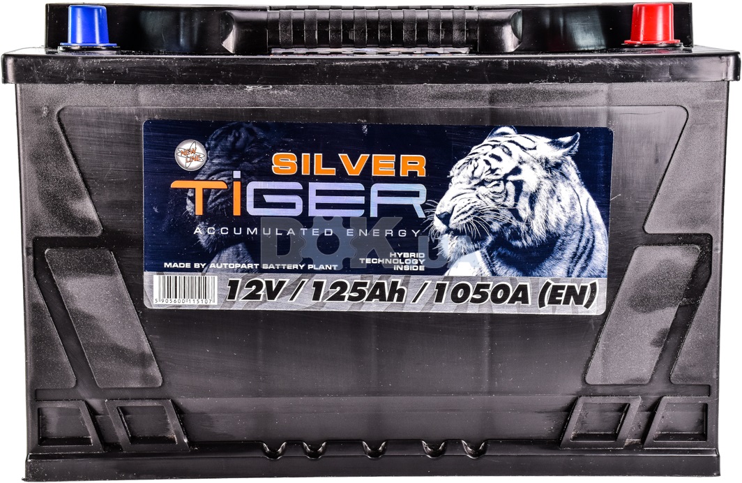 

Аккумулятор Tiger 6 CT-125-R Silver AFS125S00
