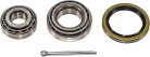 SKF Подшипник ступицы колеса