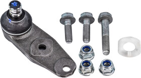 Головне фото