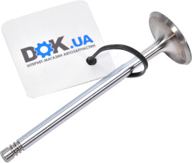 Впускной клапан BGA V991933