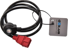 Головне фото